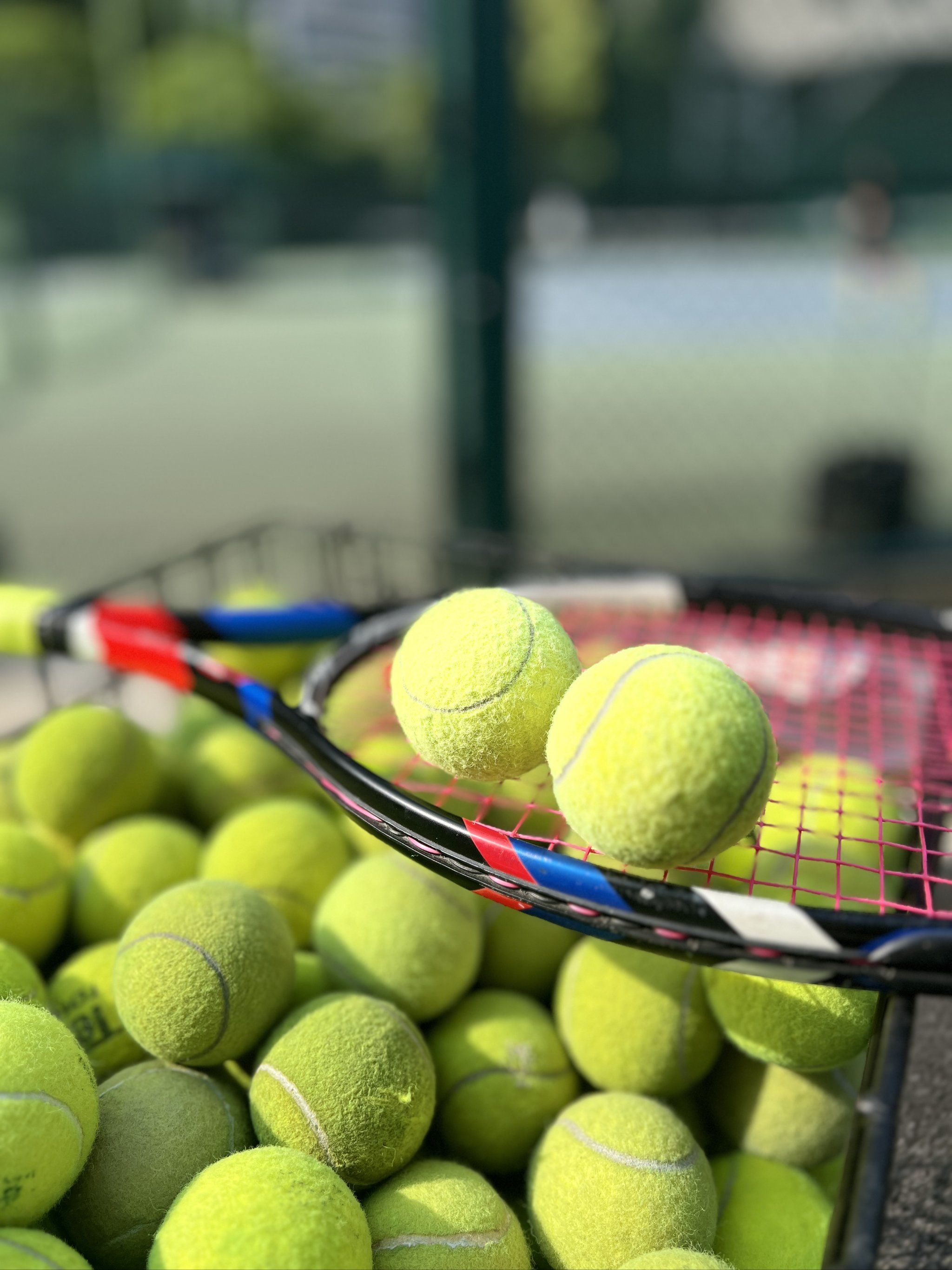 这三位球员 这三位球员